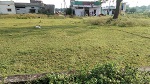 Residential land / Plot in Guraiya road